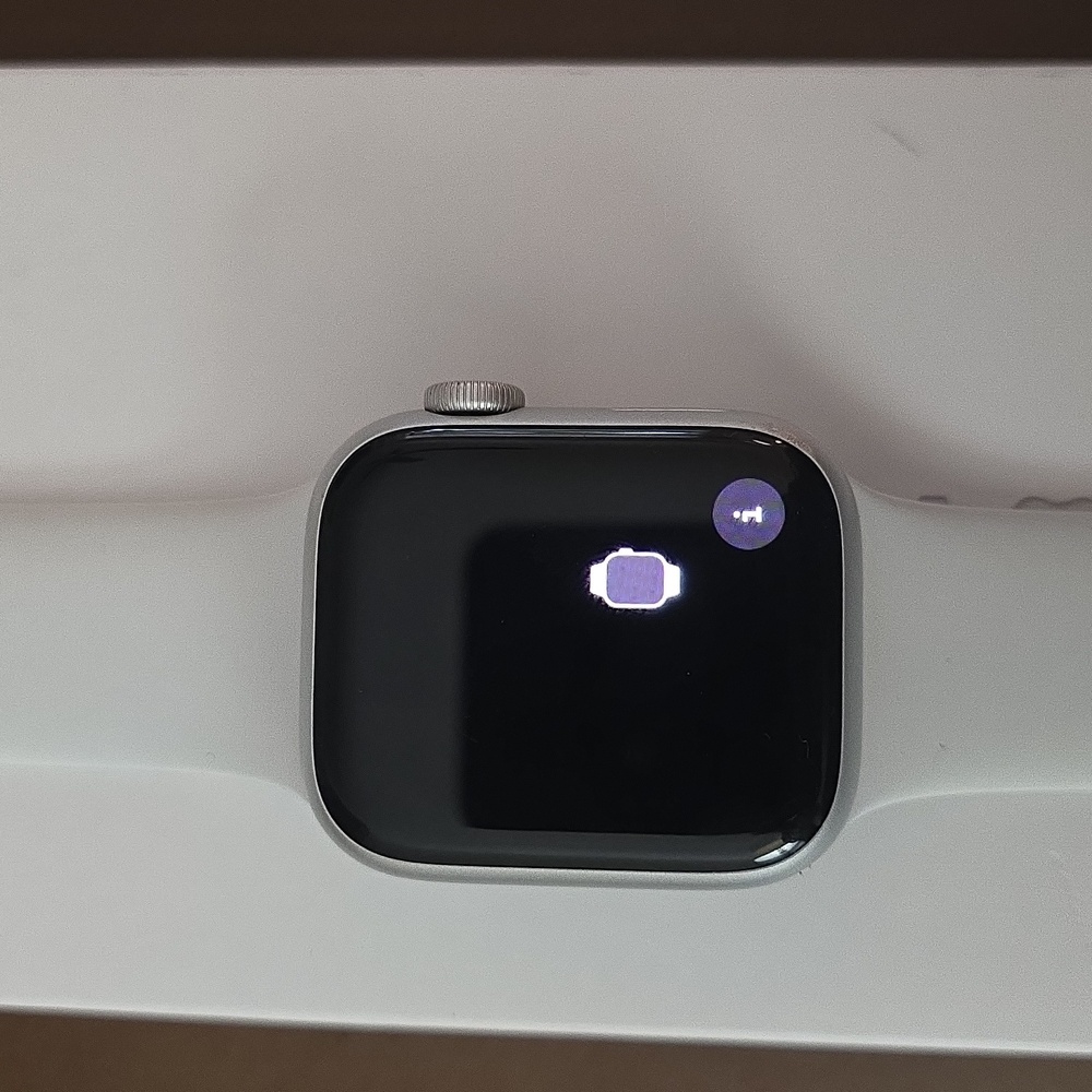 Apple Smartwatch Series 8 - Silver and White